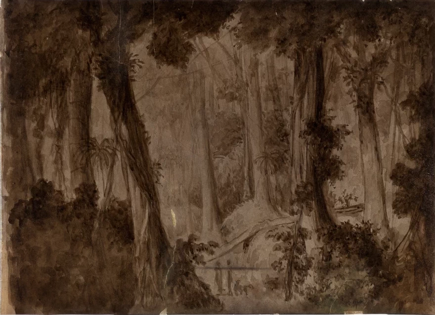 Manuel de Araújo Porto - Alegre, Studio di foresta brasiliana 1